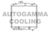 AUTOGAMMA 103781 Radiator, engine cooling